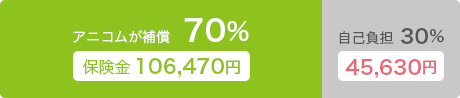 アニコムが補償70% 保険金106,470円 自己負担30% 45,630円