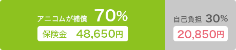 アニコムが補償70% 保険金48,650円 自己負担30% 20,850円