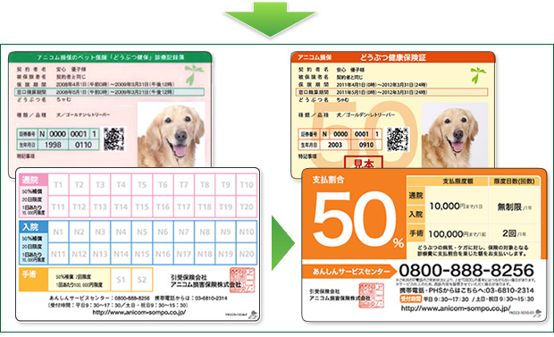 健康保険証の文字サイズ