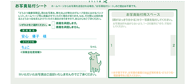 お写真貼付シート お写真貼付シート