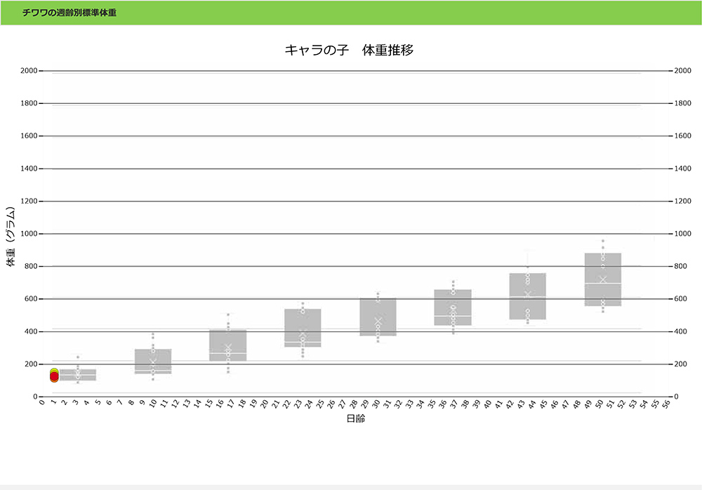 体重グラフ