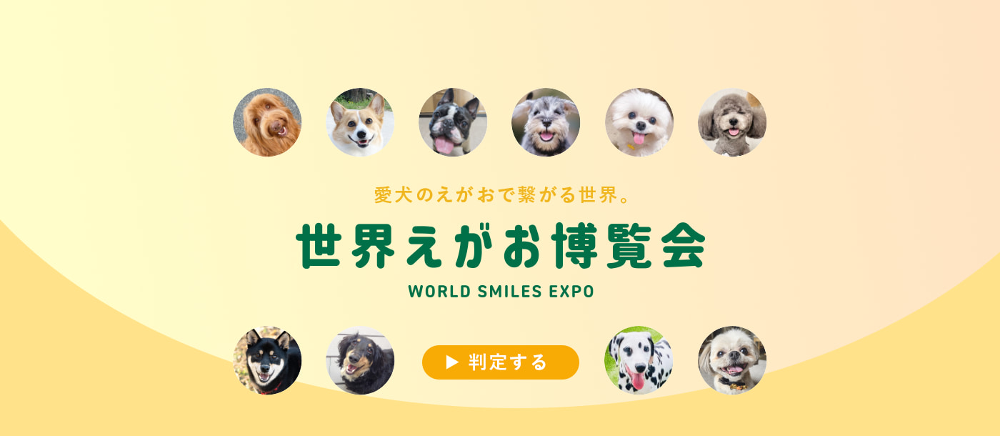 愛犬のえがおで繋がる世界。世界えがお博覧会 WORLD SMILES EXPO