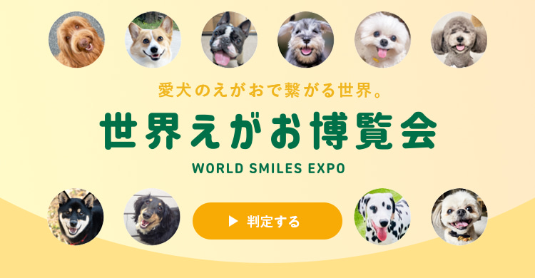 愛犬のえがおで繋がる世界。世界えがお博覧会 WORLD SMILES EXPO