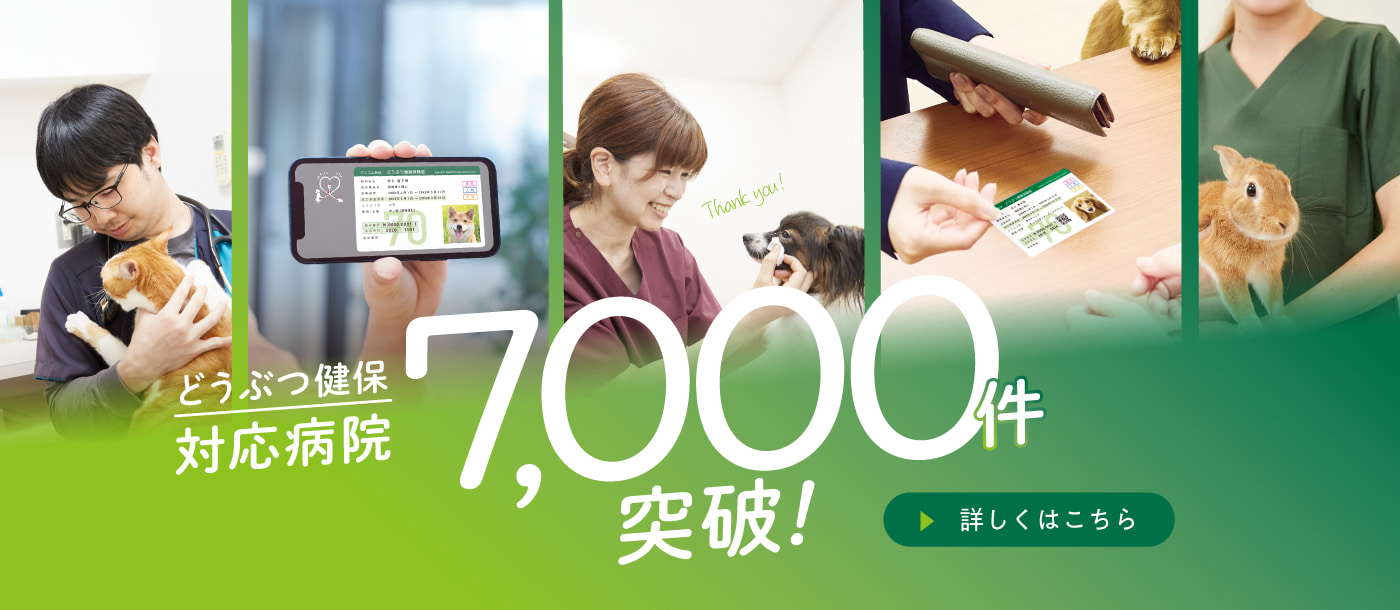 どうぶつ健保 対応病院7,000件突破！