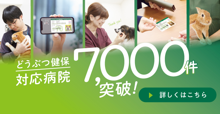 どうぶつ健保 対応病院7,000件突破！