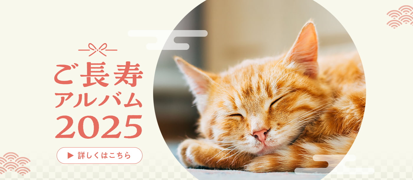 ご長寿アルバム