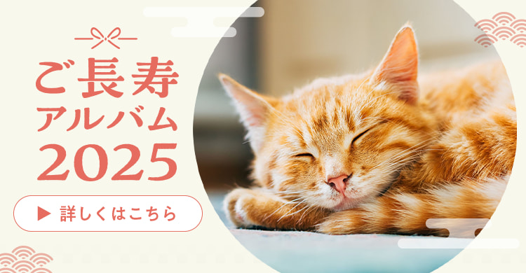 ご長寿アルバム