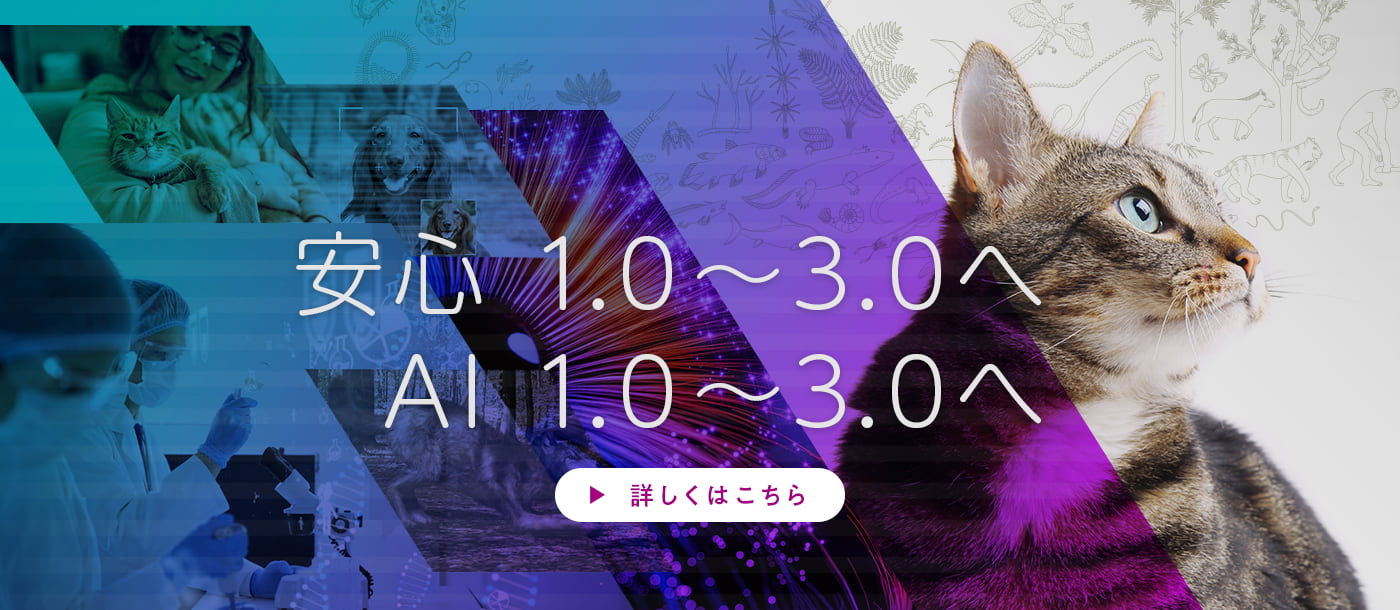 安心 1.0～3.0へ　AI 1.0～3.0へ