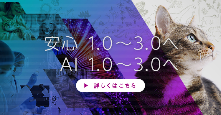 安心 1.0～3.0へ　AI 1.0～3.0へ