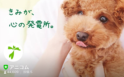 君が、心の発電所
