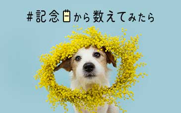 #記念日から数えてみたら