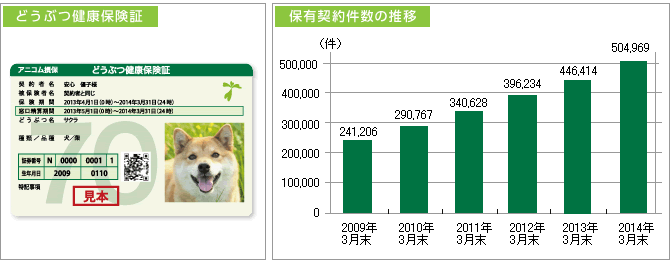 どうぶつ健康保険証 保有件数の推移