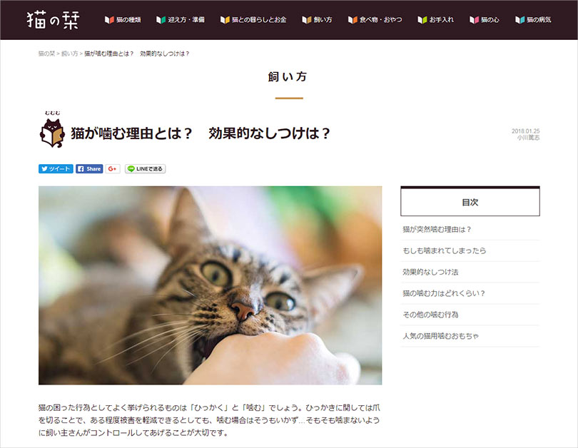 猫の栞記事ページ