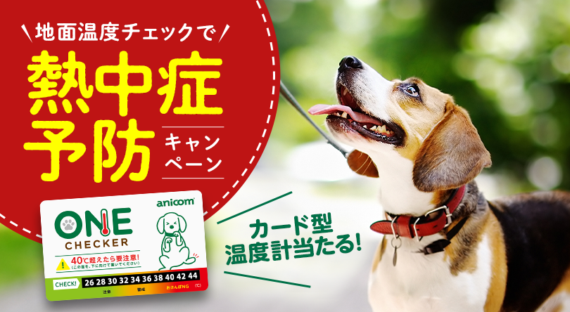 熱中症予防キャンペーン
