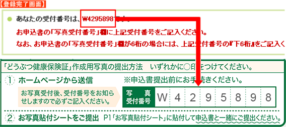 登録完了画面