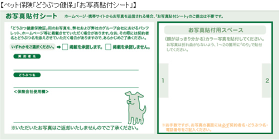【ペット保険「どうぶつ健保」「お写真貼付シート」】