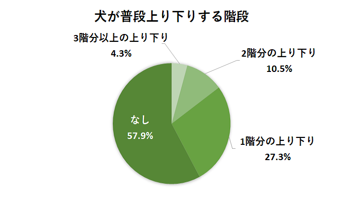 犬が普段上り下りする階段
