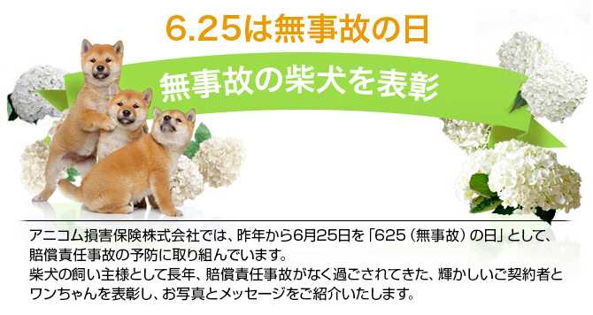 6月25日は無事故の日　無事故の柴犬を表彰