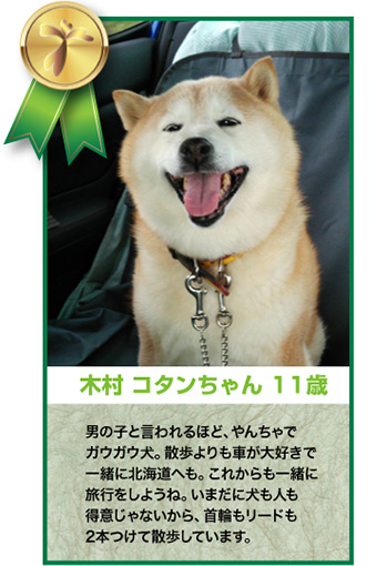 木村コタンちゃん 11歳