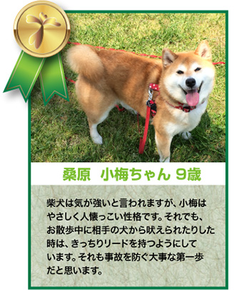 桑原小梅ちゃん 9歳