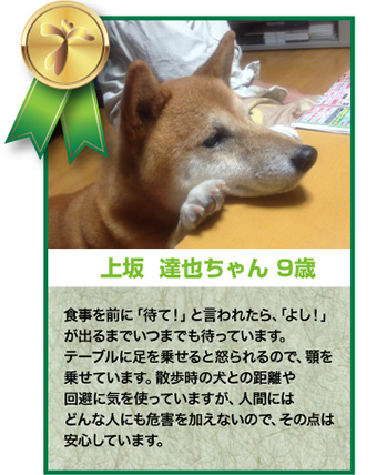 上坂達也ちゃん 9歳