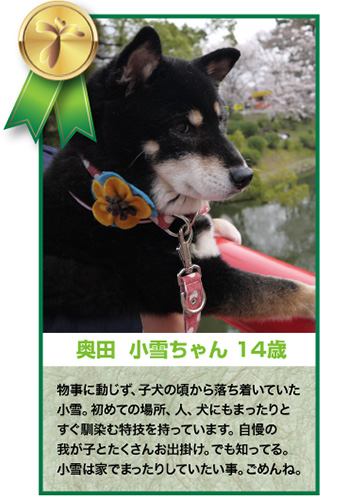 奥田小雪ちゃん 14歳