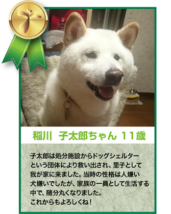 稲川子太郎ちゃん 11歳