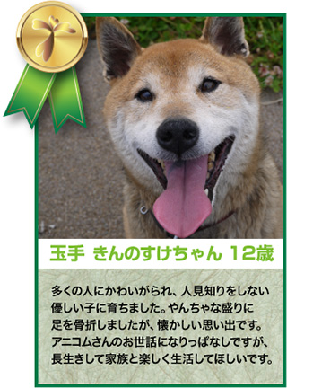 玉手きんのすけちゃん 12歳