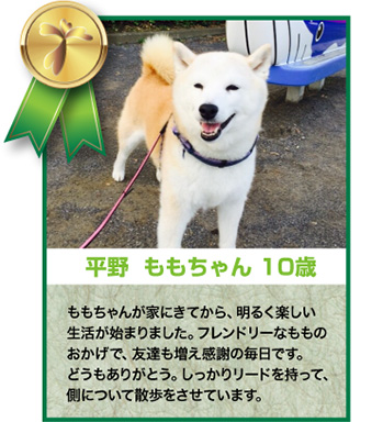 平野ももちゃん 10歳