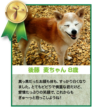 後藤麦ちゃん 8歳