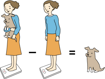 大型犬の体重測定