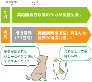 さまざまなケガ・病気を補償 イメージ