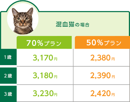 混血種の場合のどうぶつ健保ふぁみりぃ保険料