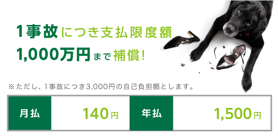 1事故につき支払限度額 1,000万円まで補償