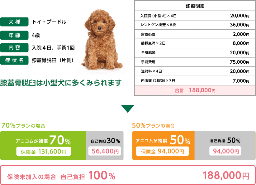 保険未加入の場合の自己負担額＆どうぶつ健保険ふぁみりぃの補償額