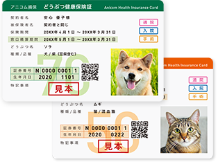 アニコム損保 どうぶつ健康保険証