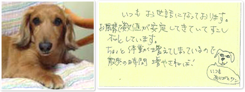 保険金のご請求をいただいたお客様より