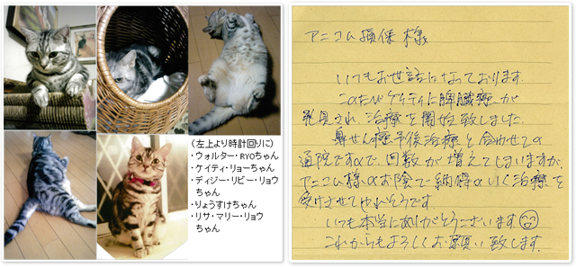 保険金のご請求をいただいたお客様より