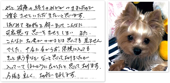 保険金のご請求をいただいたお客様より