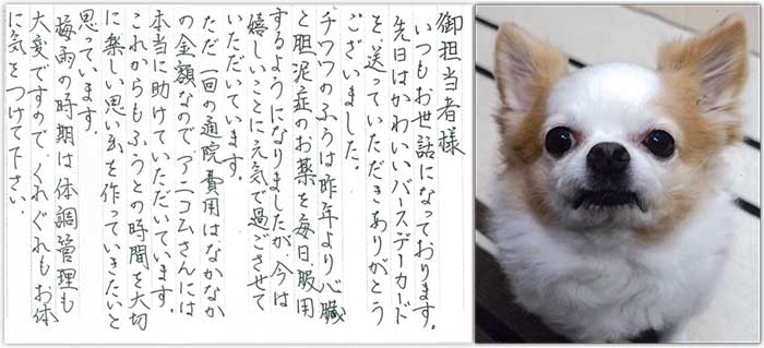 保険金のご請求をいただいたお客様より