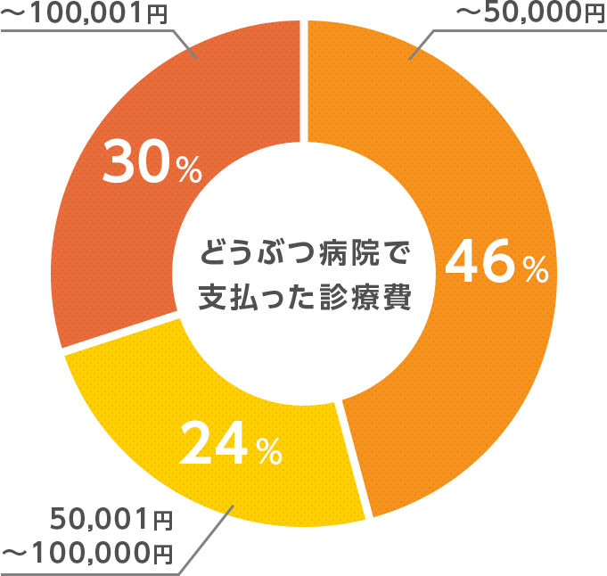 6割以上がペット保険の使用経験あり! イメージ