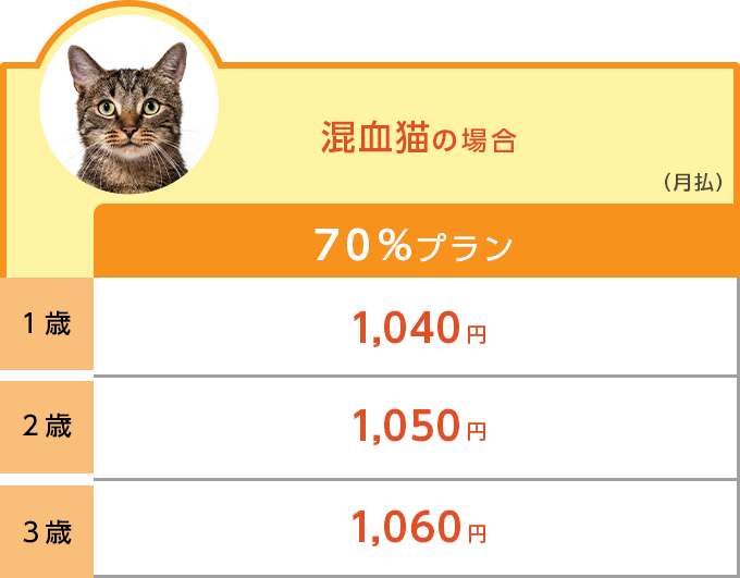 混血種の場合のどうぶつ健保ぷち保険料