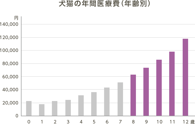 6割以上がペット保険の使用経験あり! イメージ