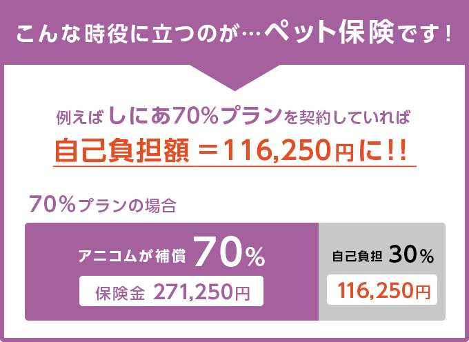 例えば椎間板ヘルニアの場合