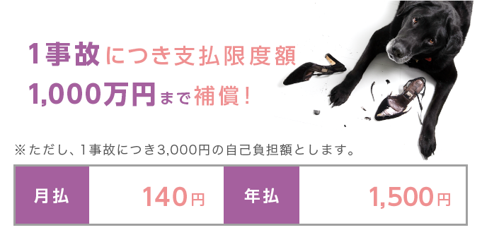 1事故につき支払限度額 1,000万円まで補償