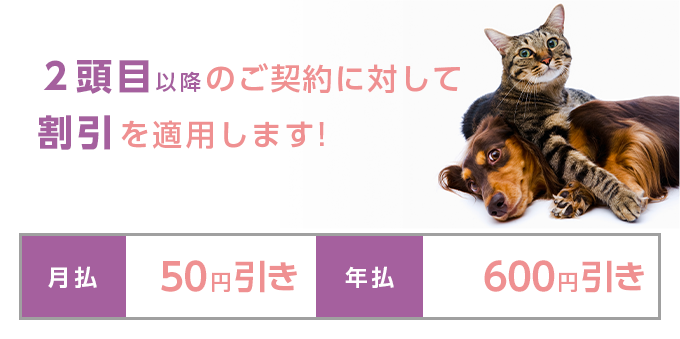 2頭目以降のご契約に対して割引を適用します!