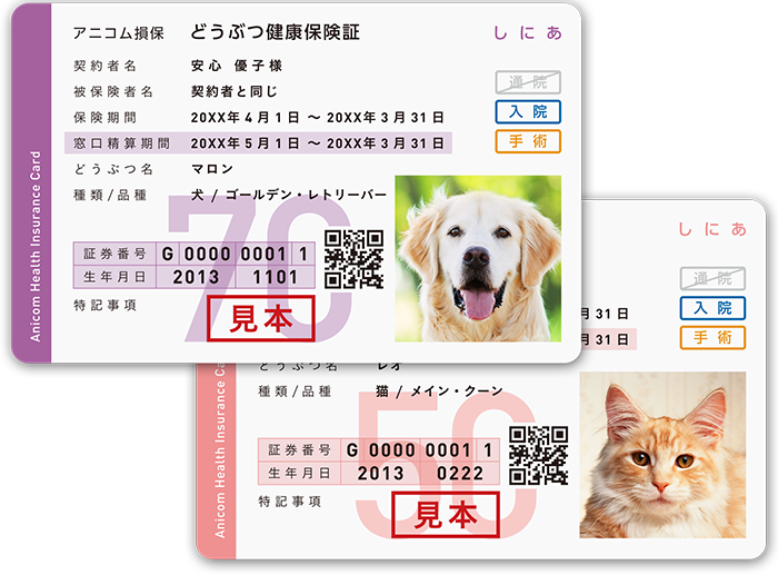 アニコム損保 どうぶつ健康保険証