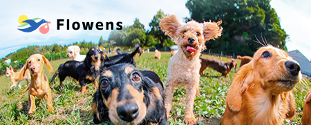 株式会社フローエンス イメージ