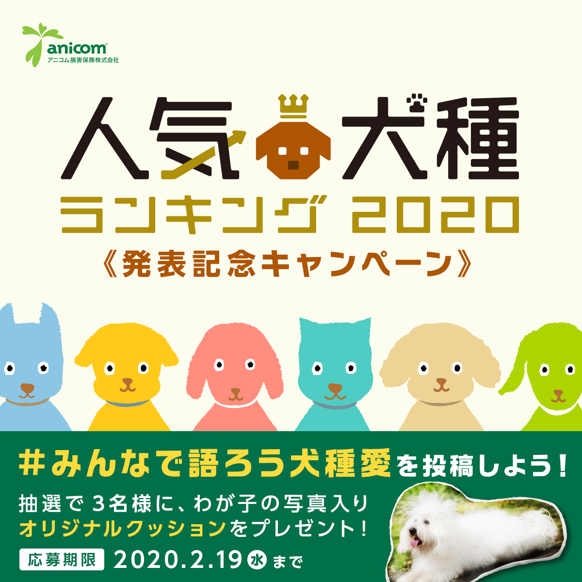 人気犬種ランキング2020発表記念キャンペーン みんなで語ろう犬種愛