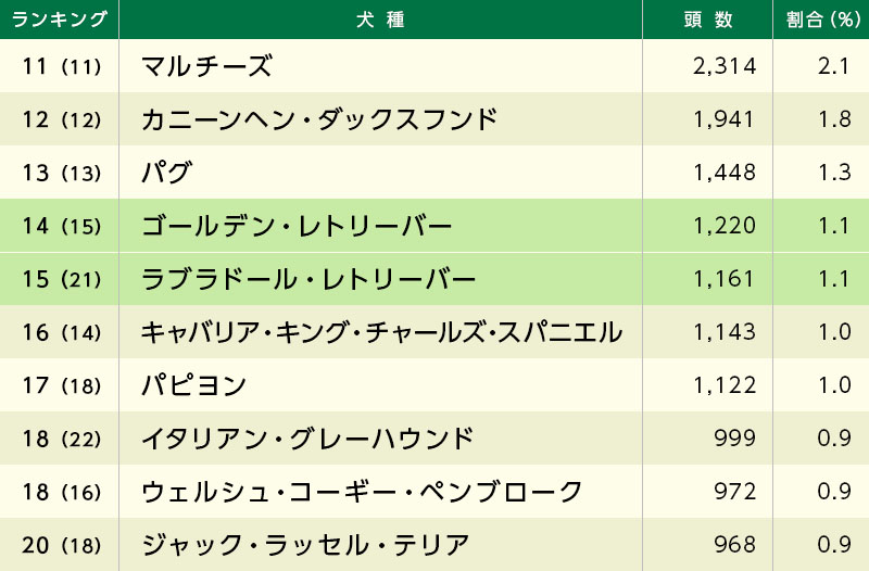 人気犬種ランキング11~20位の一覧